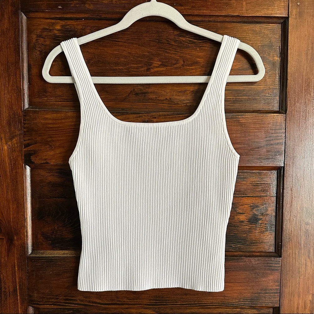 Aritzia Babaton Sculpt Tank